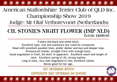 Ch. Stonil's Night Flower.png
